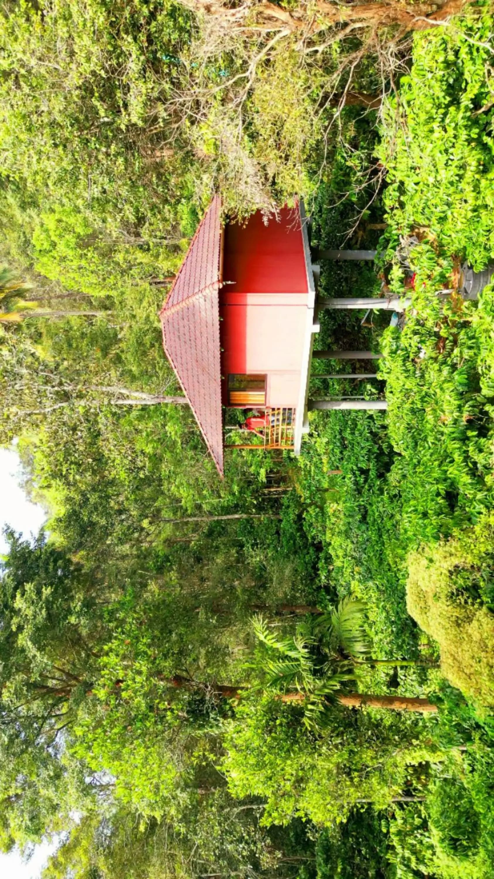 VMJ Wild Retreat - view 3