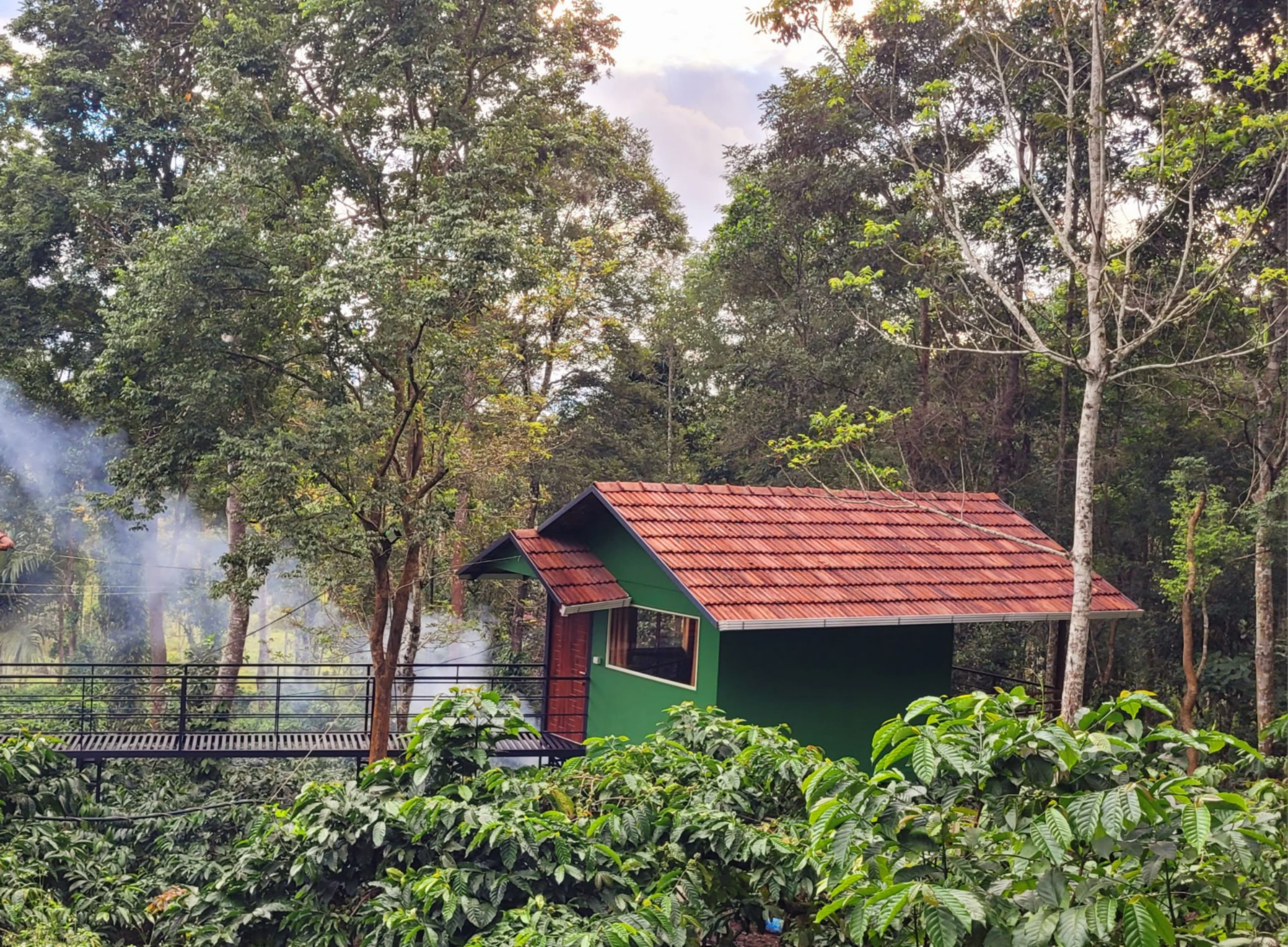 VMJ Wild Retreat - view 4