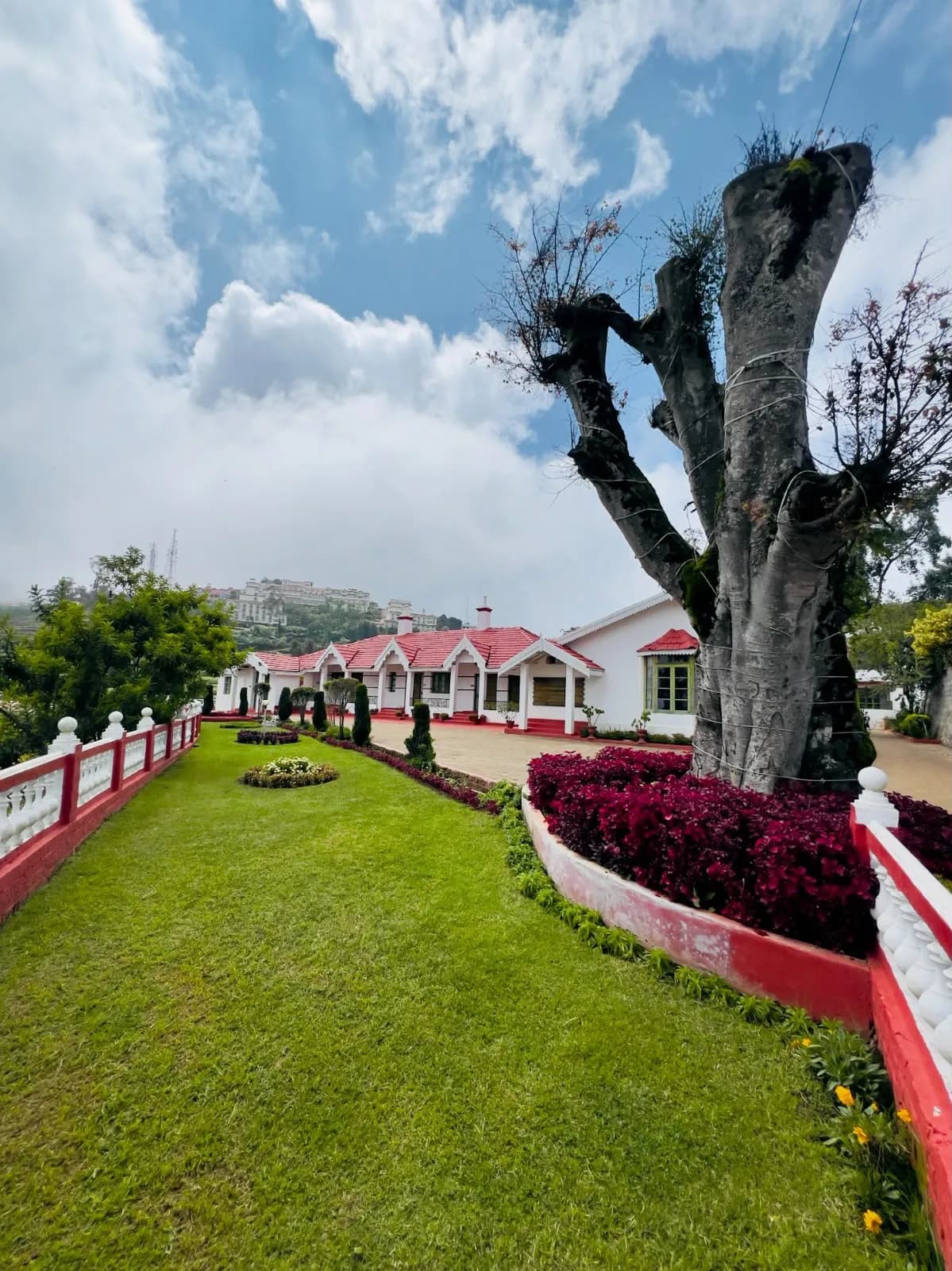 Oxygen Resort Ooty