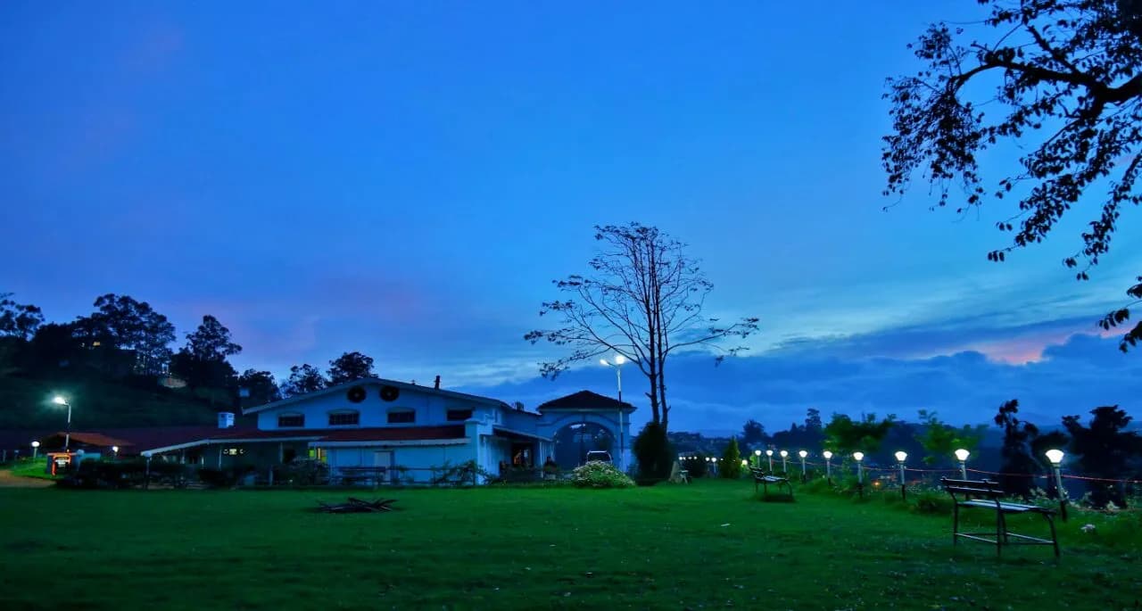 Premium Stay Amidst Nature