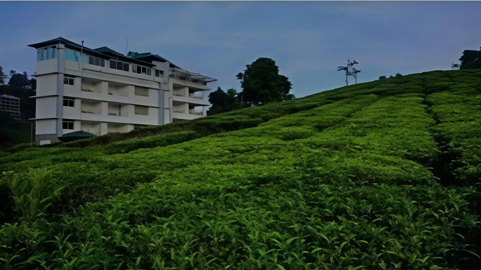 Monsoon Grande Premium Stay