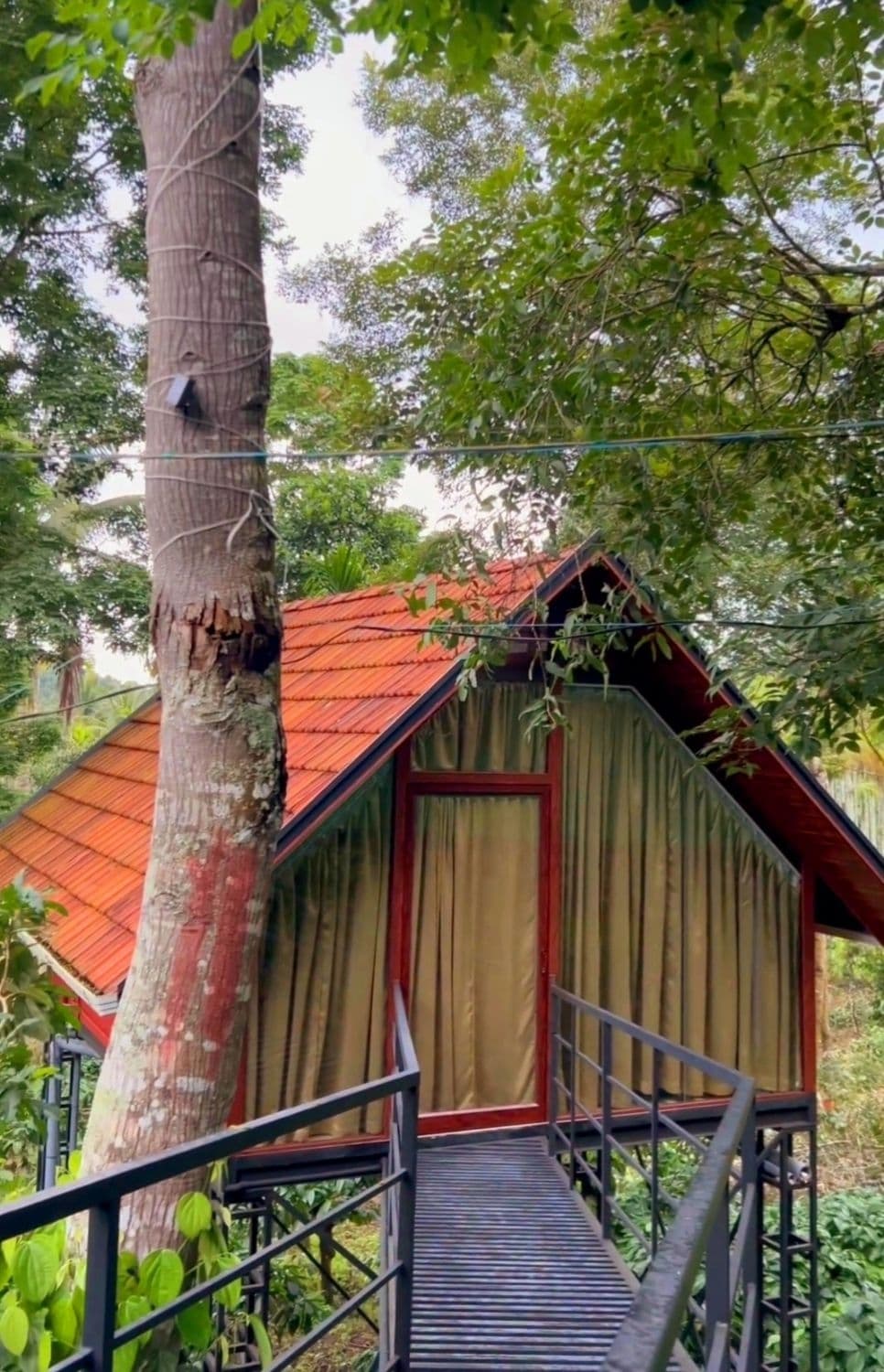 Wilderness Stays