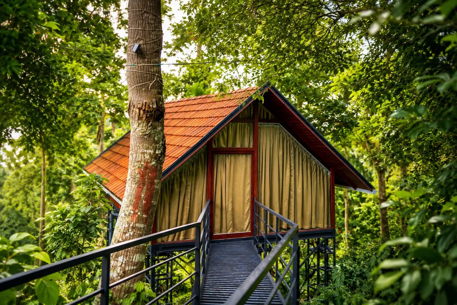 VMJ Wild Retreat