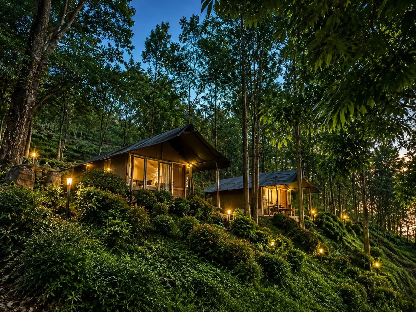 Jungle Haven Resort